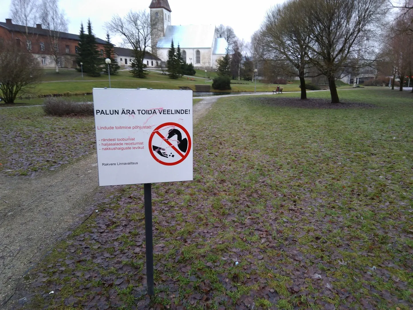 Rakveres Kirikupargis on toekad sildid infoga, et veelindude toitmine ei ole mõistlik.