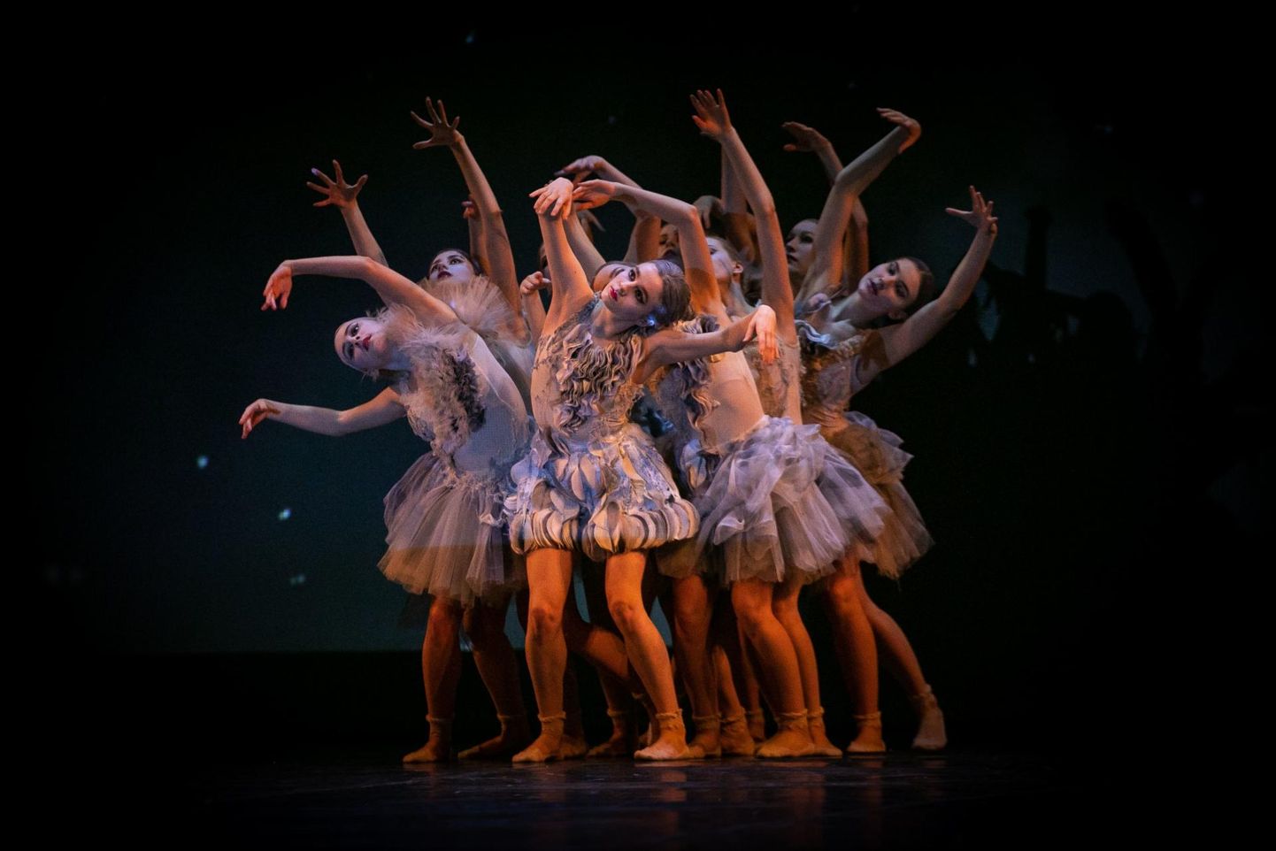 Balletigalal saavad Kaurikooli õpilased võimaluse esineda koos professionaalsete tantsijatega.