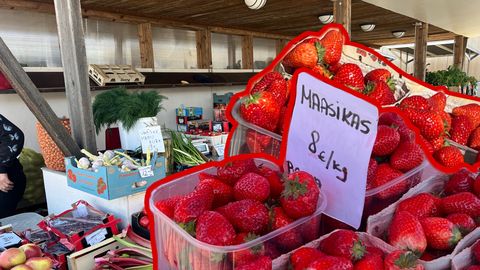 KORDADES KALLIM KUI PEALINNAS ⟩ Viljandi maasikahinnad panevad õhku ahmima: kõik ostud peab enne läbi mõtlema