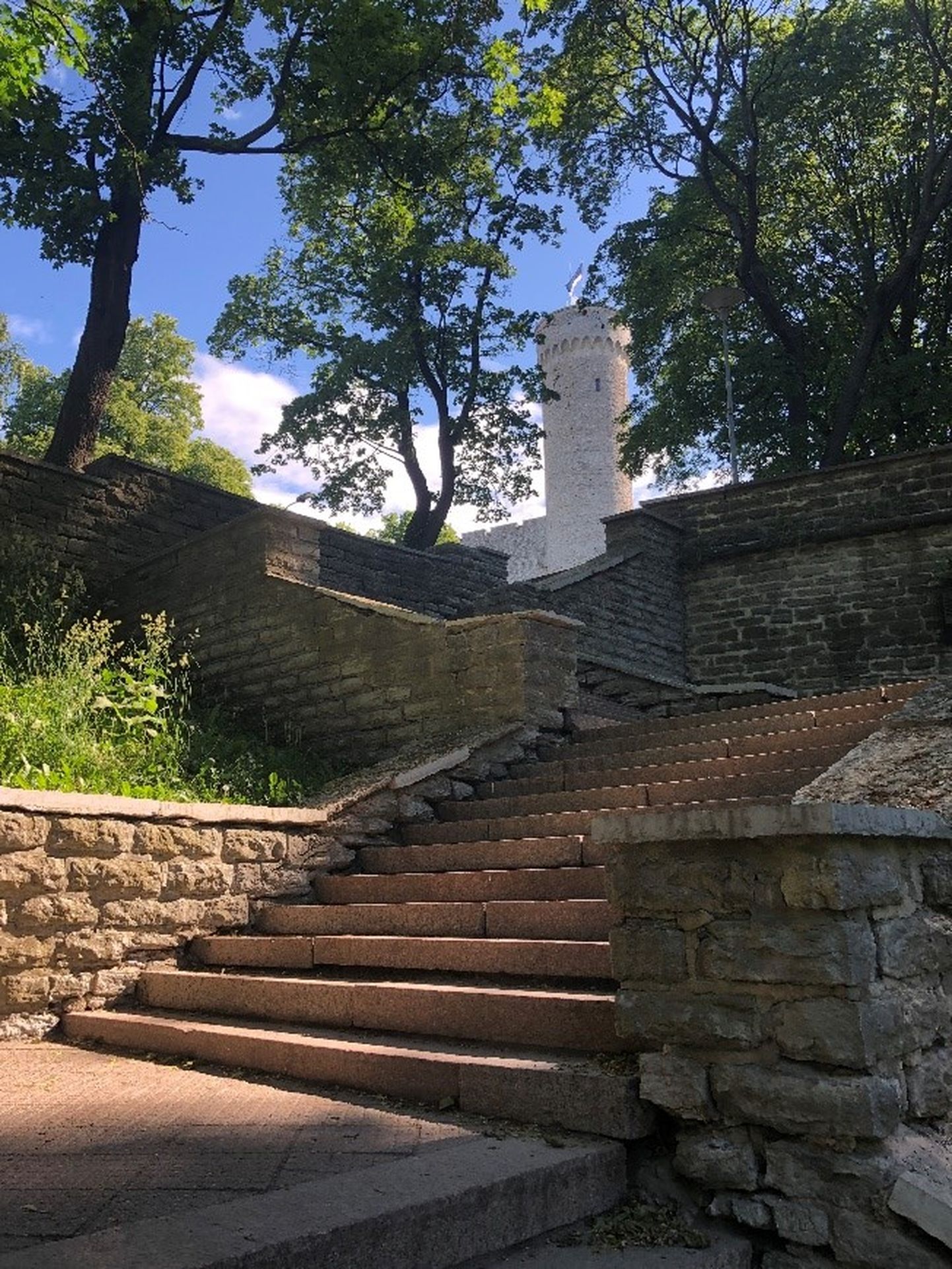 Открывшаяся панорама с лестницы парка Хирве на башню Длинный Герман.