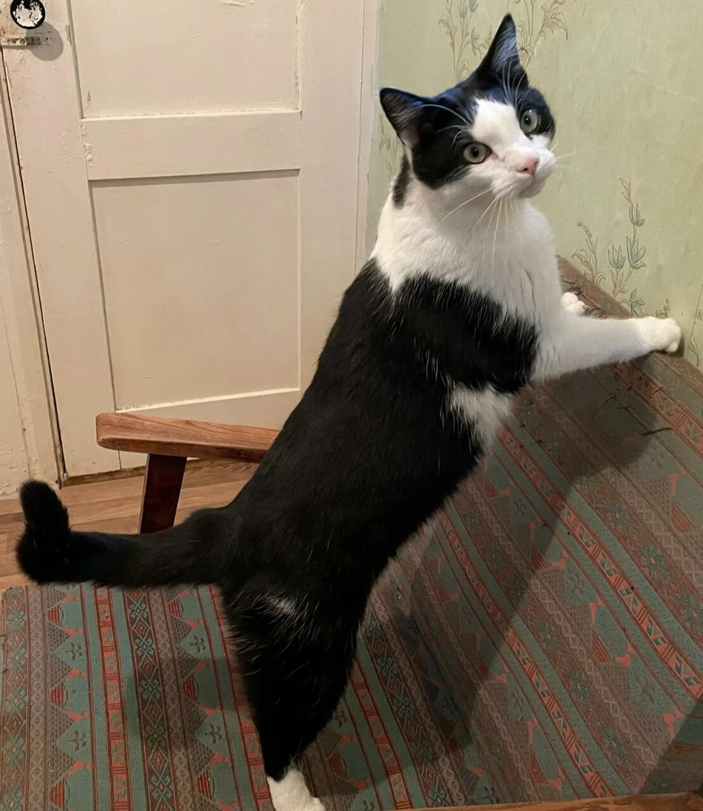 Kiska