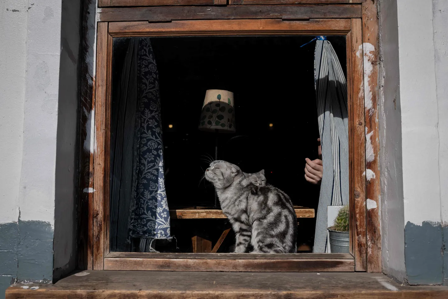 Фото иллюстративное.