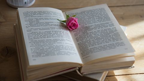 Marju Kirsipuu raamatusoovitused: põnevat uut kirjandust jagub igale maitsele