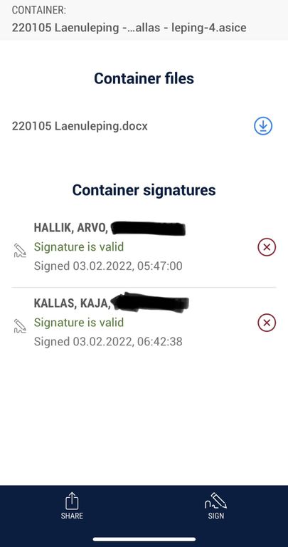 Кредитный договор между Каллас и Халликом.
