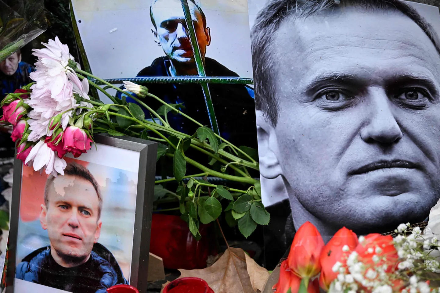 Surnud Vene opositsiooniliidri Aleksei Navalnõi portreede ümber asetatud lilled 23. veebruaril 2024 endise Vene konsulaadi ees asuvas ajutise mälestusmärgi juures Frankfurdis.