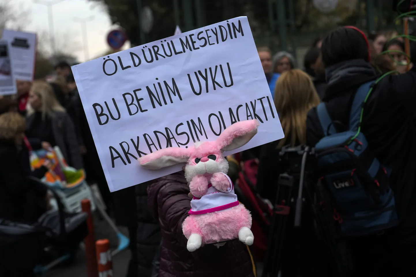 Istanbuli kohtumaja ette kogunesid täna meeleavaldajad. Õiglast kohtumõistmist nõudvale protestisildile on kirjutatud: «Kui mind poleks tapetud, oleks see mu kaisuloom.»