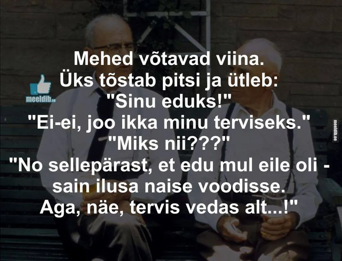 Artikli foto