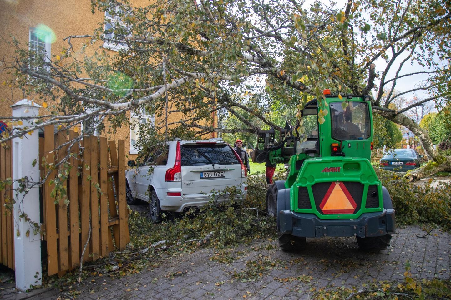 See puu kukkus eile Viljandis Inkeri maja juures autole, aga samasugused päästetööd on eilsest peale käinud kõikjal Eestis.