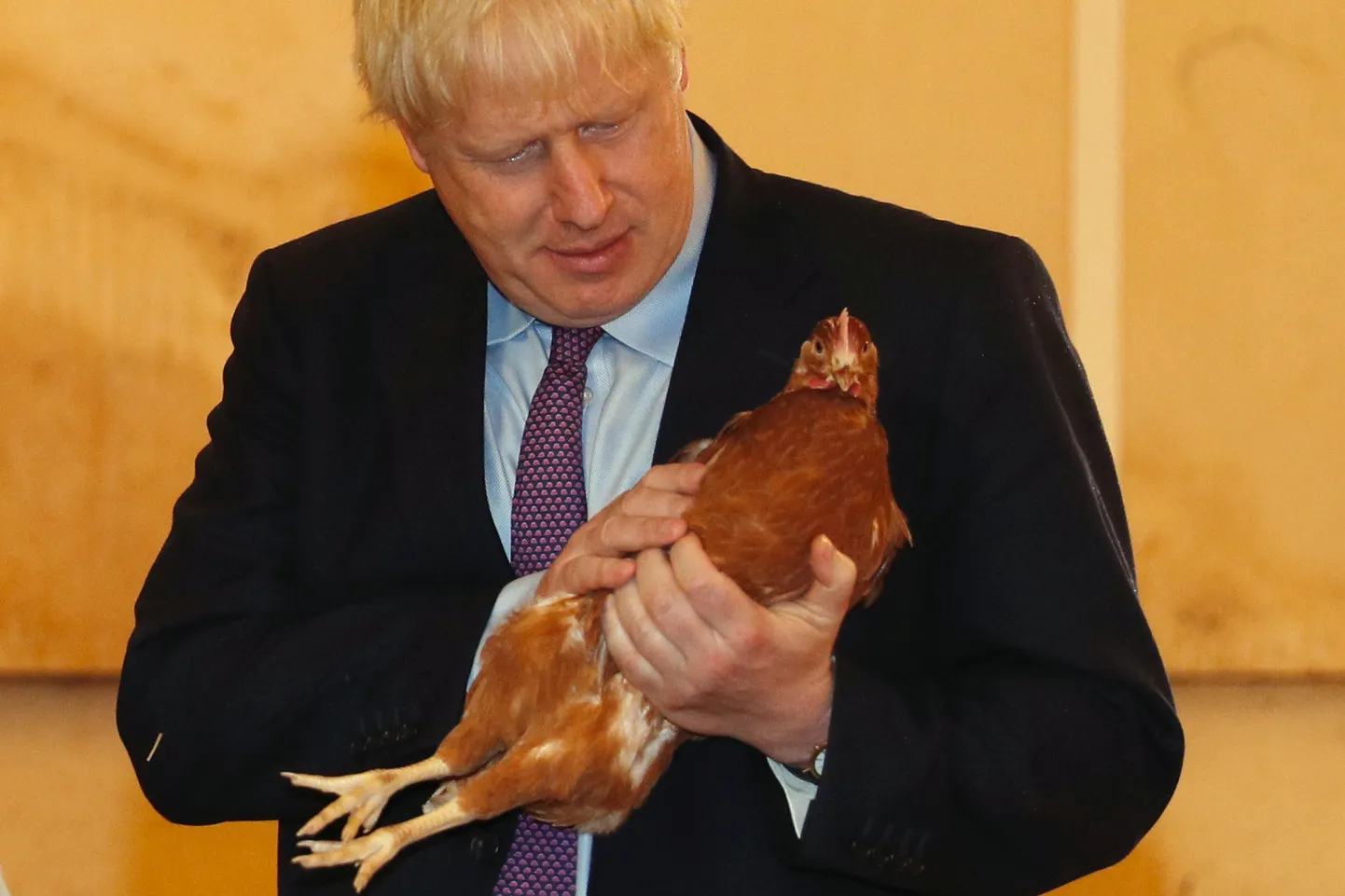 Briti peaminister Boris Johnson.