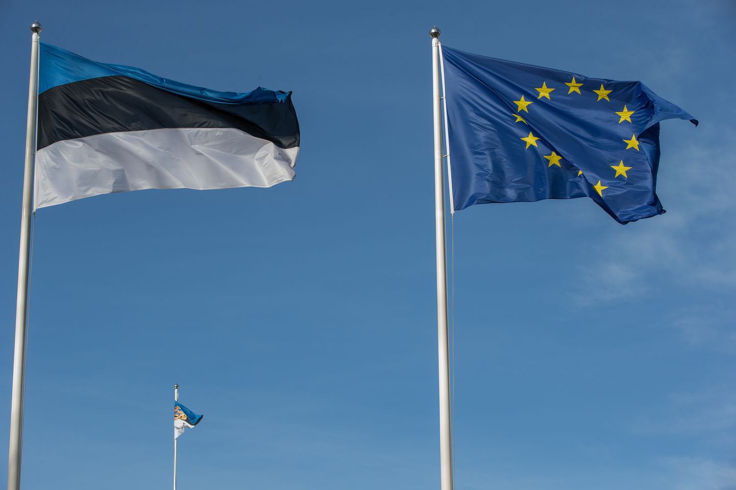 EL ja Eesti lipud