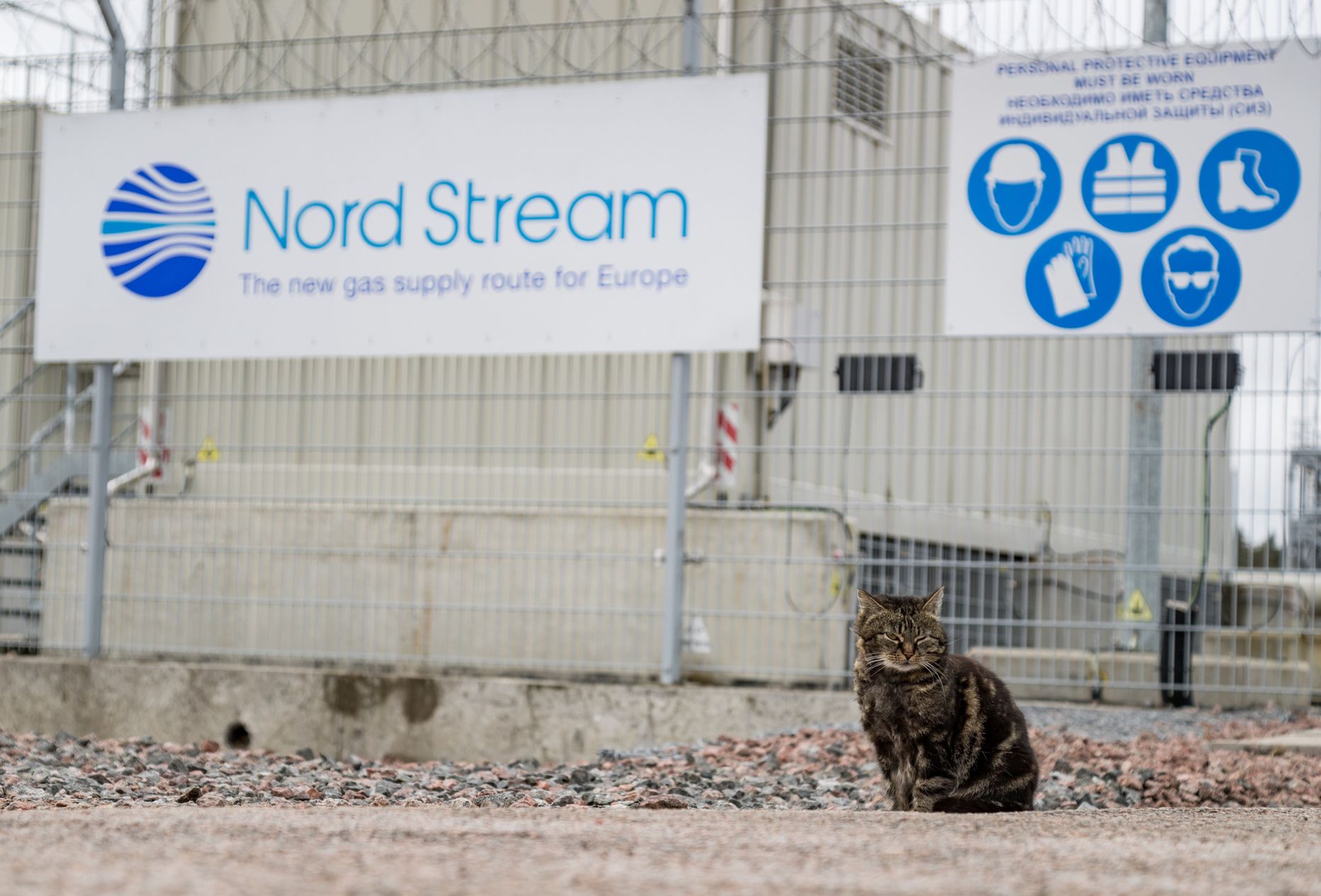 Esimese Nord Streami gaasijuhtme maaletulekukoht Portovaja lahe ääres.