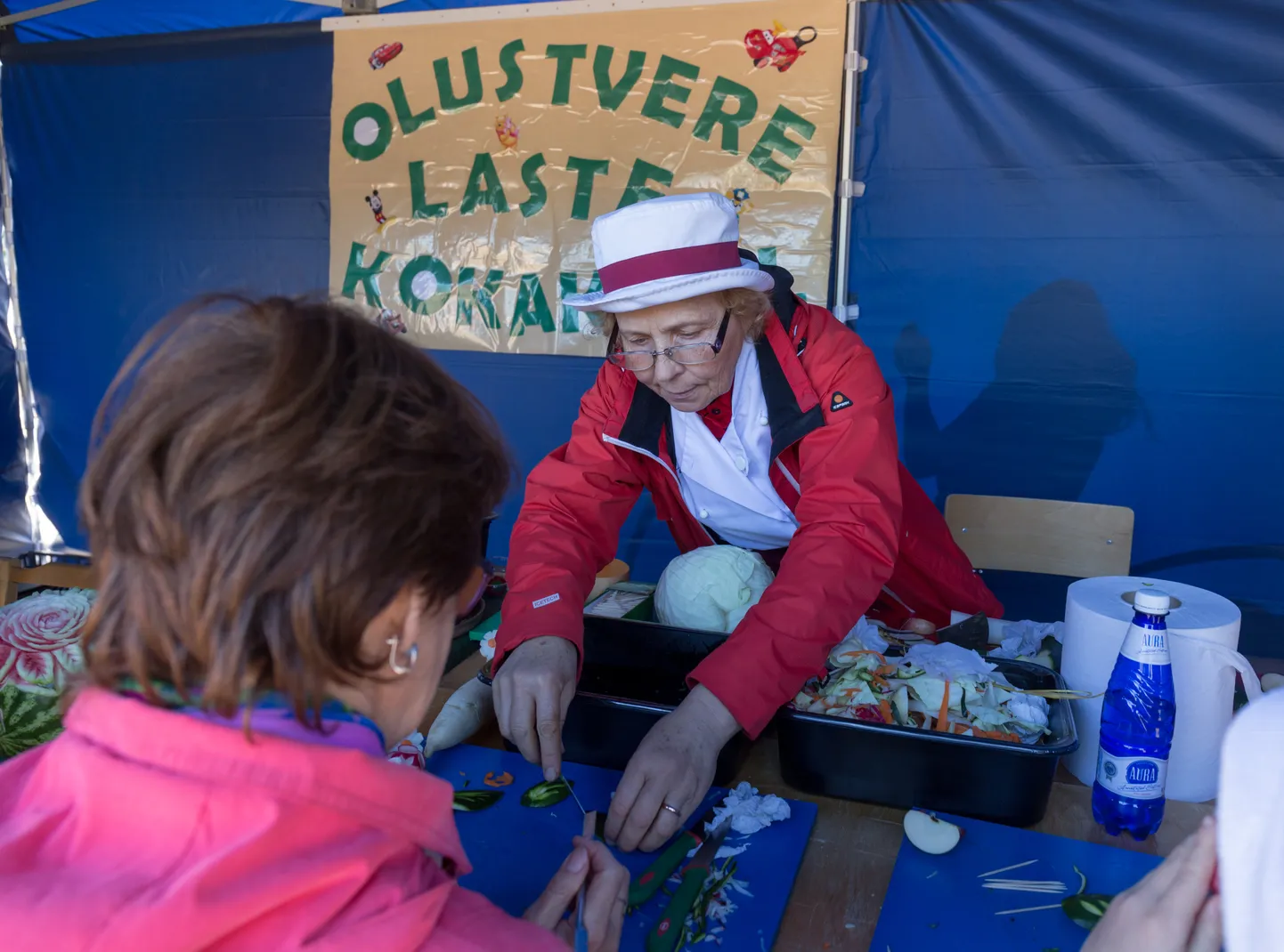 Olustvere hoidistemess 2017. aastal. Pilt on illustratiivne.