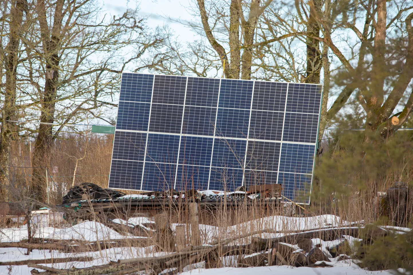 Elektri tootmiseks püstitatud päikesepaneel. Pilt on illustreeriv.
