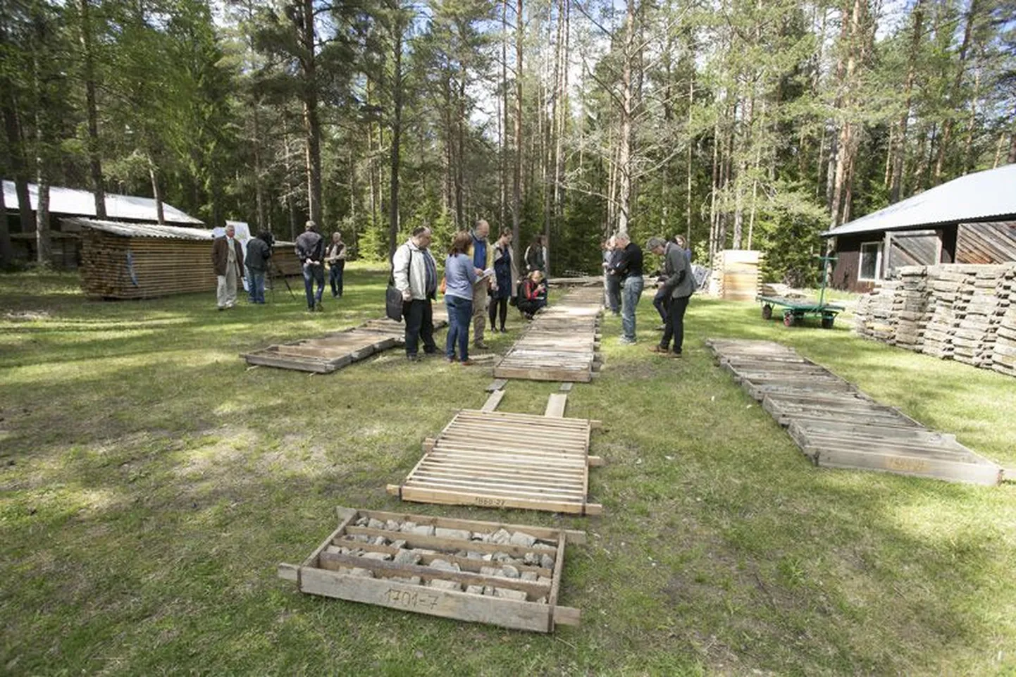Geoloogid näitavad puuraukudest võetud kivimikihte. Üks kast võrdub umbes neljameetrise puursüdamikuga.