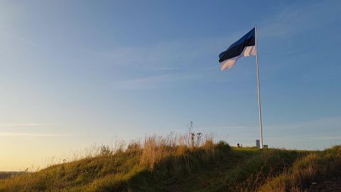 Mõttekoda: Eestis on OECD parim maksusüsteem