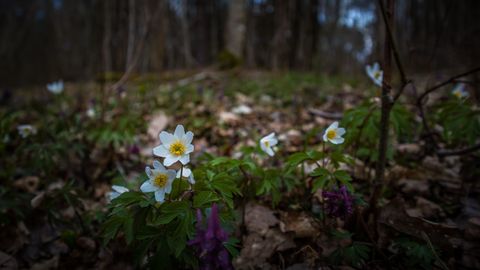 Во вторник ожидается солнечная погода