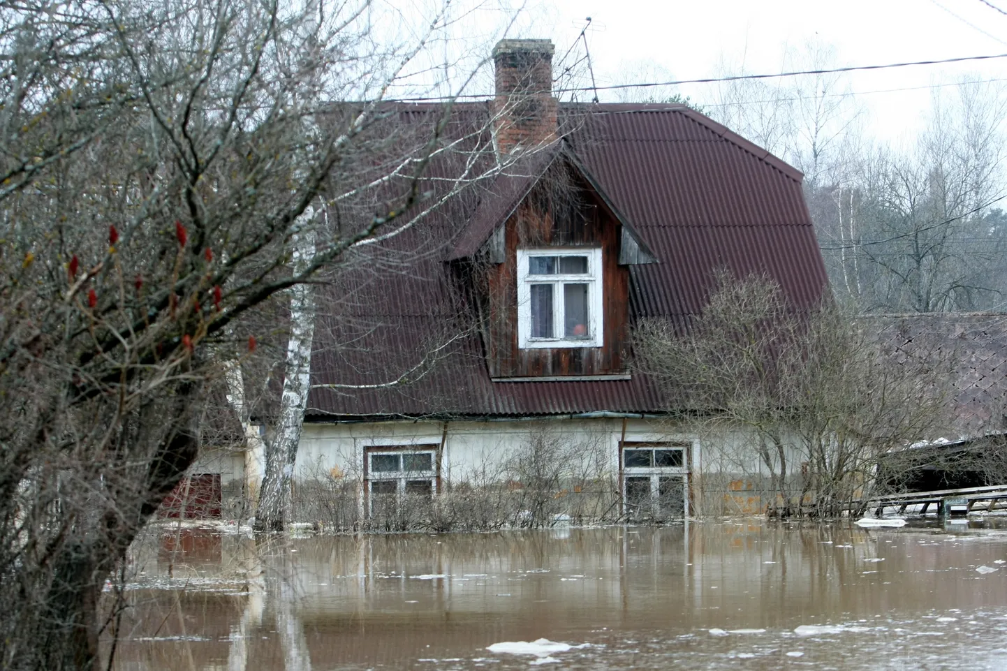 Raksta foto