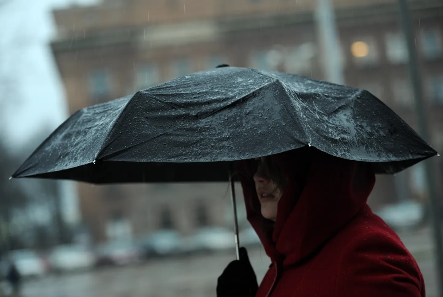 Raksta foto