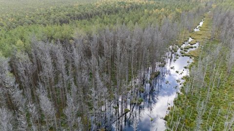 LIIGA KUUM KARTUL ⟩ Kliimaministeerium jätab euroliidule looduse taastamise kava tähtajaks esitamata