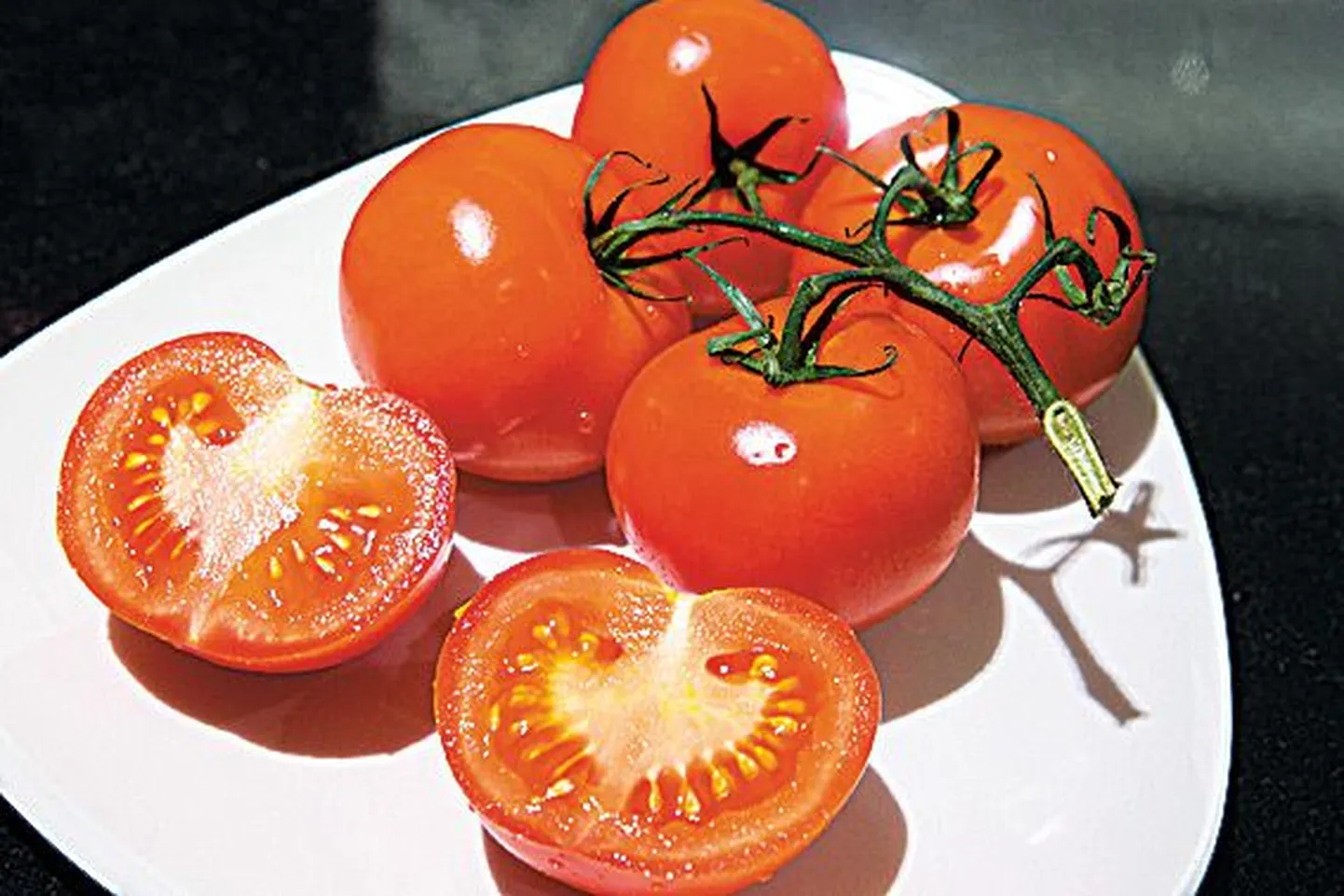 Hollandi kobartomat