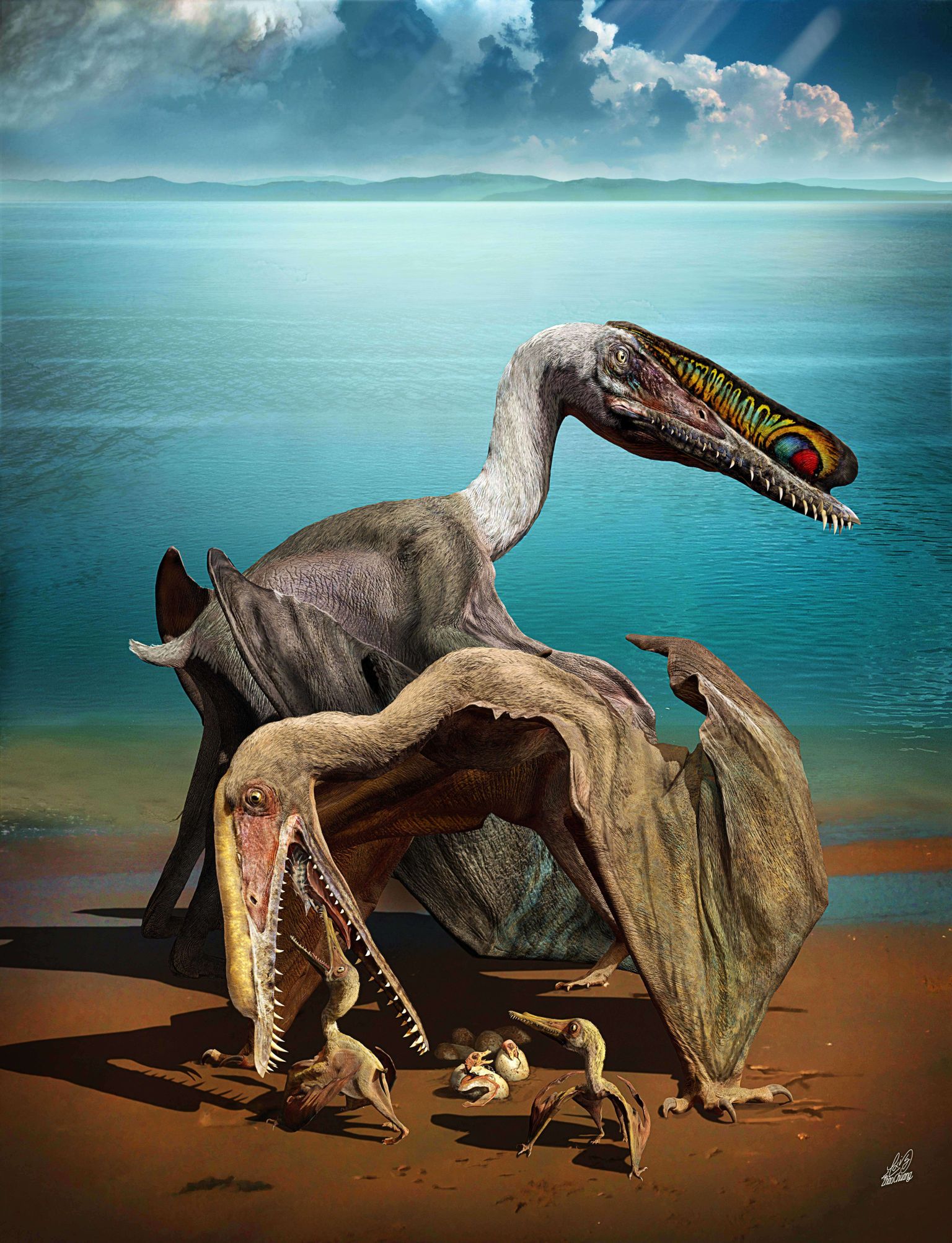 Joonistus pterosaurustest, kes elasid 228 – 66 miljonit aastat tagasi