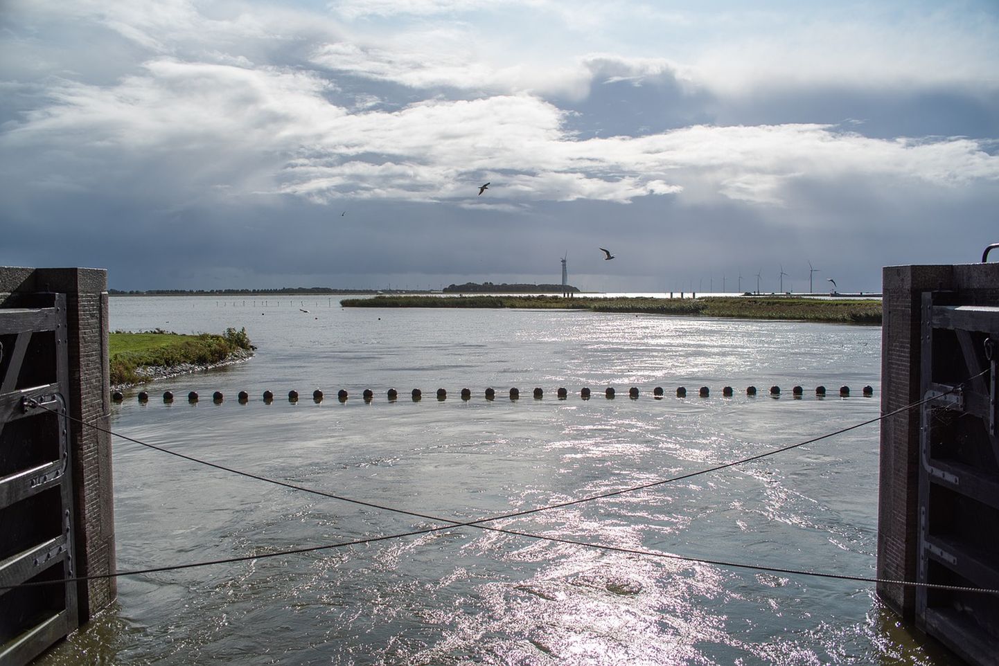 Tulvavete eest kaitset pakkuv tamm Fryslânis, taamal paistmas tuulepark.