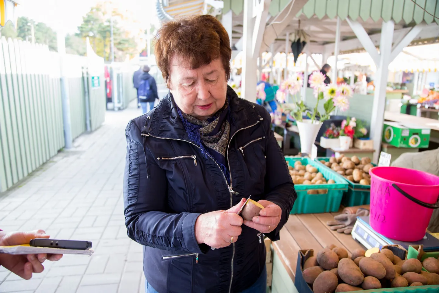 Kui tavaliselt soovitab kartuliteadlane Luule Tartlan osta talvekartulid kahes osas, siis tänavu vähemalt kolmes jaos, sest keerulistes oludes kasvanud ja võetud mugulate säilimisega võib probleeme olla.