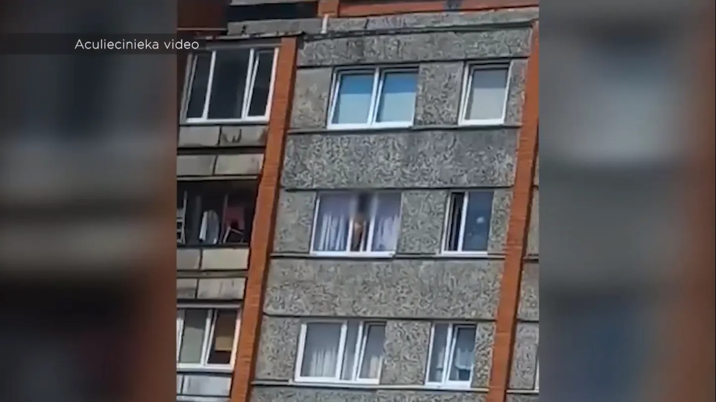 Фото статьи