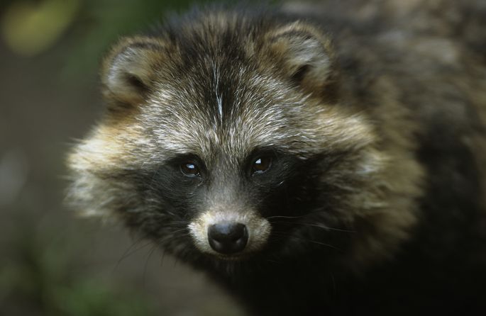 Zhiteli Narvy Podoshli K Svoemu Domu No Kogda Oni Uvideli Eto Obomleli Foto Kurez Limon