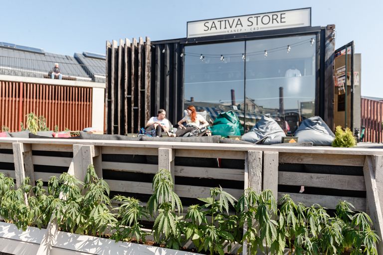 Sativa Store рядом с рынком у Балтийского вокзала сочетает в себе магазин и кафе.