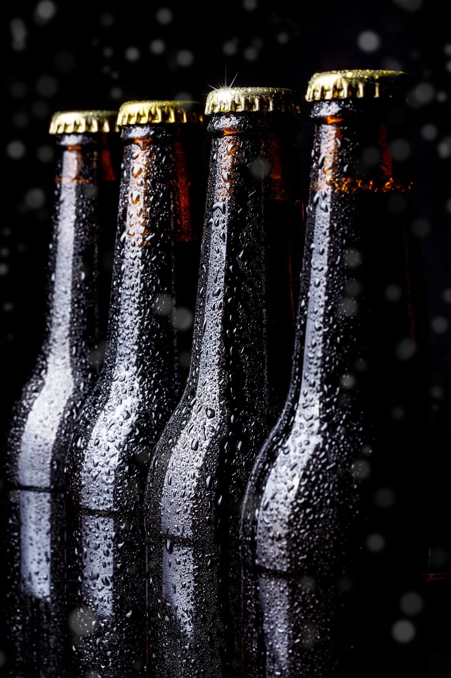 Eesti perearstid on alkoholipoliitika karmistamise poolt.