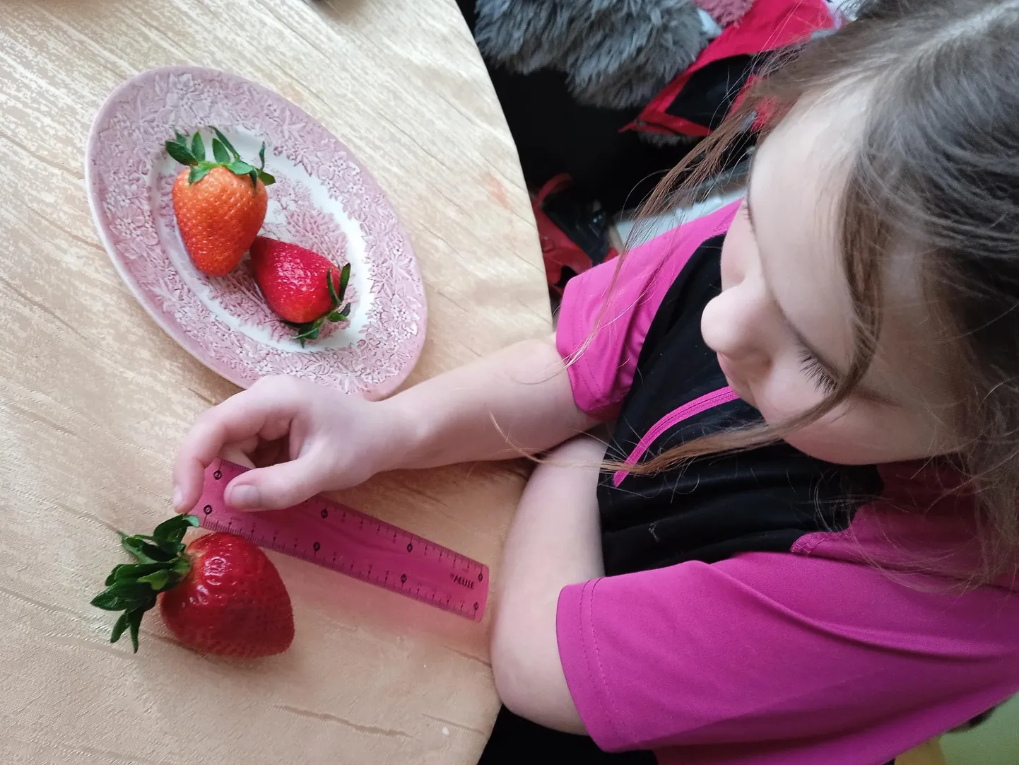 Välileti maasikad olid 7–8 sentimeetri pikkused.
