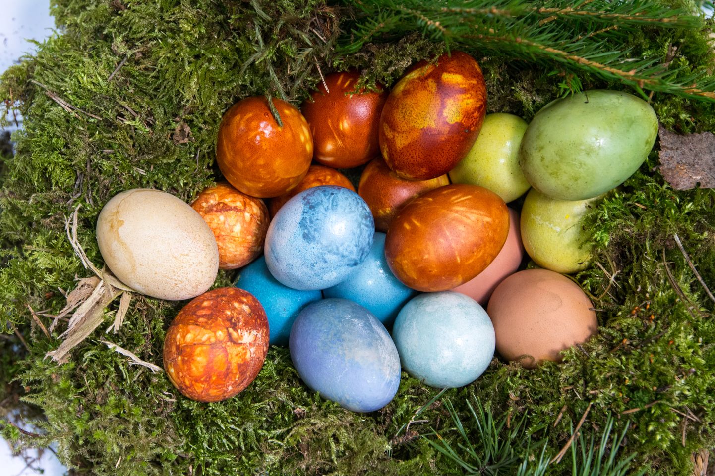 Linnuse hoovi on ära peidetud kümme muna.