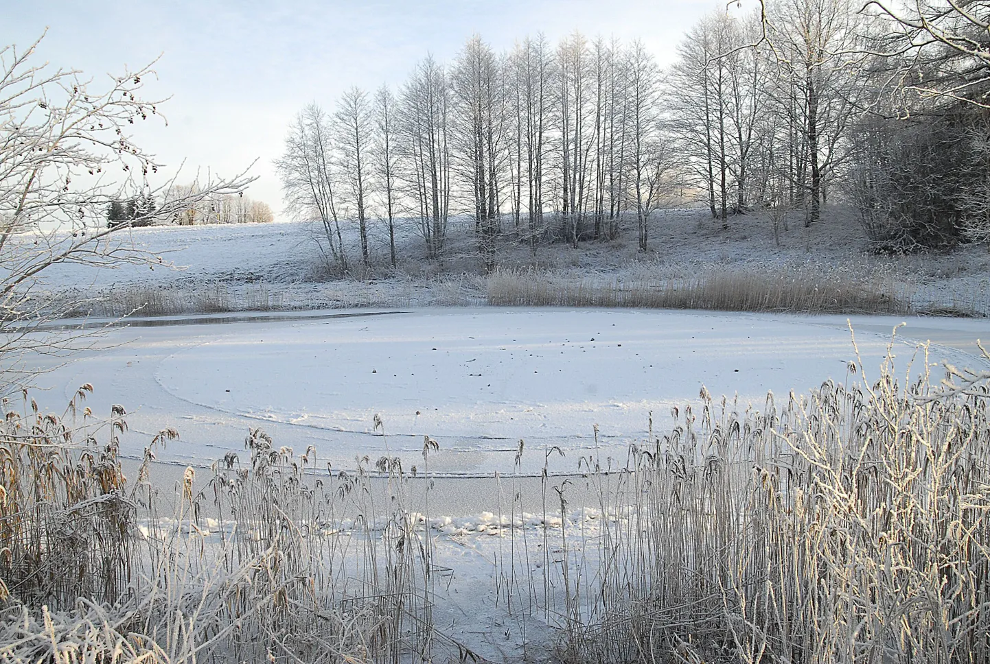 Jääratas Vigala jõel.