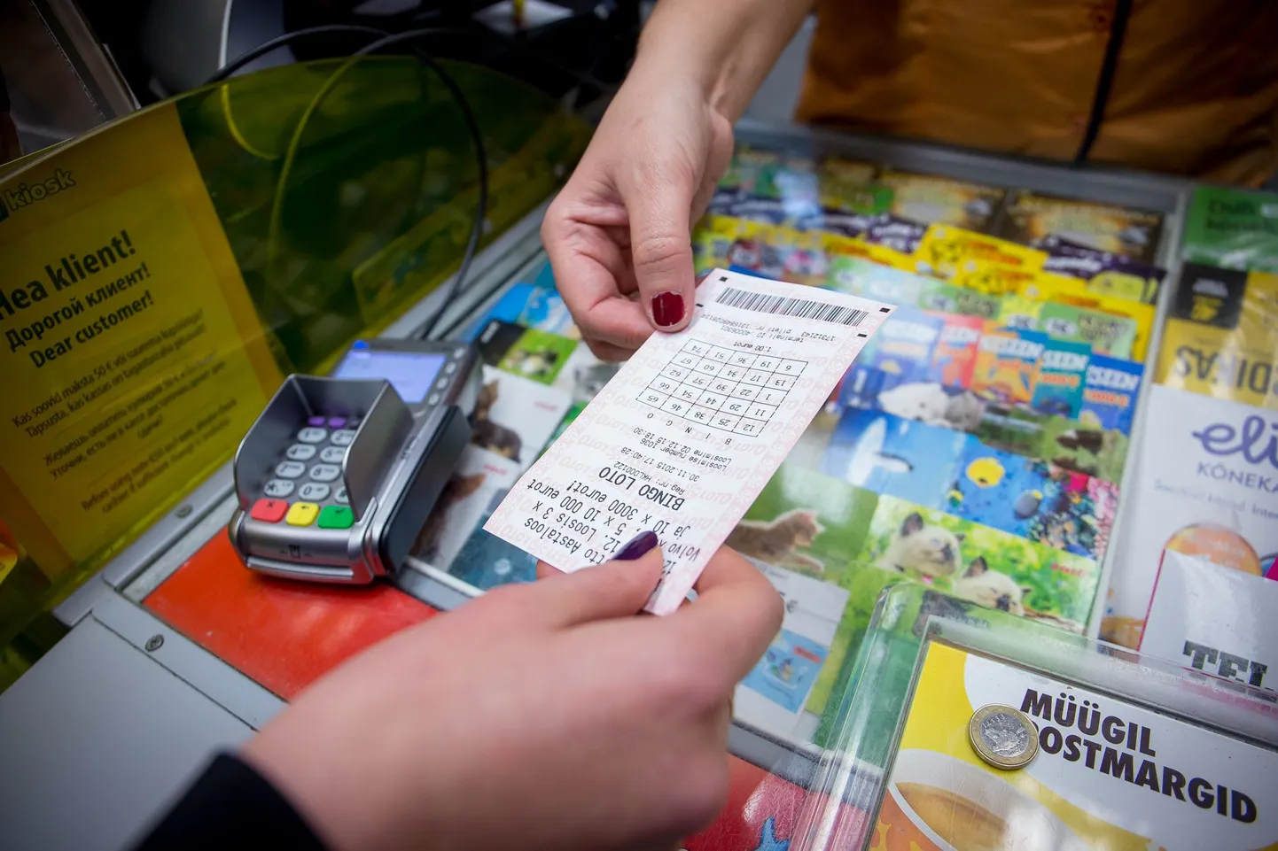 Bingo Loto mängupilet.