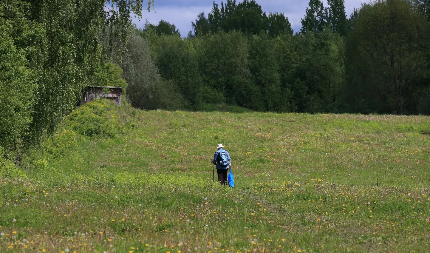 Hiinalinna läbiv teekoridor näeb välja kui suvine lilleaas, kahel pool roheline sein, milles peidus veel kuni 60 aialappi, kus rahvas harjumuspäraselt edasi toimetab.