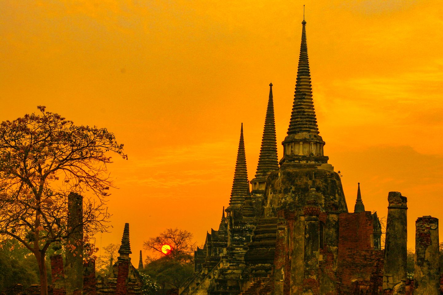 Wat Phra Si Sanphet on Tai iidse pealinna üks pühamaid templeid.