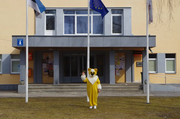 "Endale tööandjaks olemises on ridamisi eeliseid," tõdeb Kersti Virro, kelle tegemistest saavad positiivsust ja head energiat nii kliendid kui koostööpartnerid.