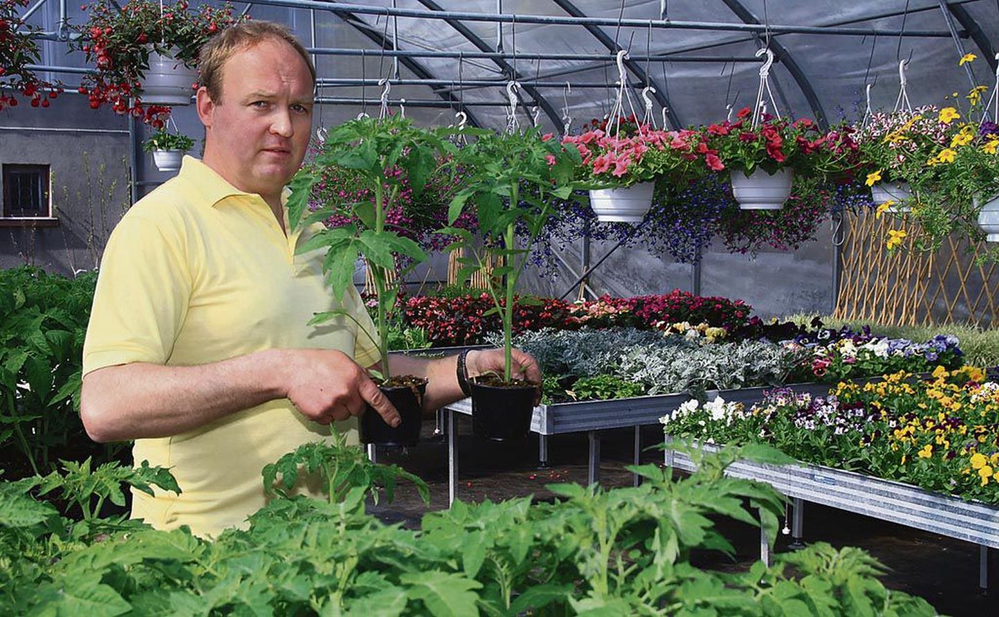 “Lilli ja tomateid küsitakse praegu kõige rohkem,” märkis Tootsi aianduskeskuse juhataja Peeter Kadakas.