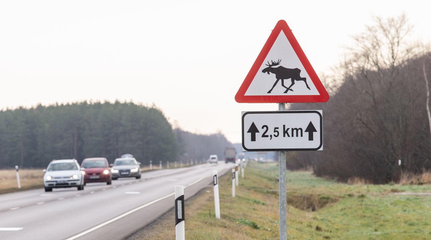 Будьте особенно внимательны в районе этого знака, потому что там чаще дорогу перебегают дикие животные.