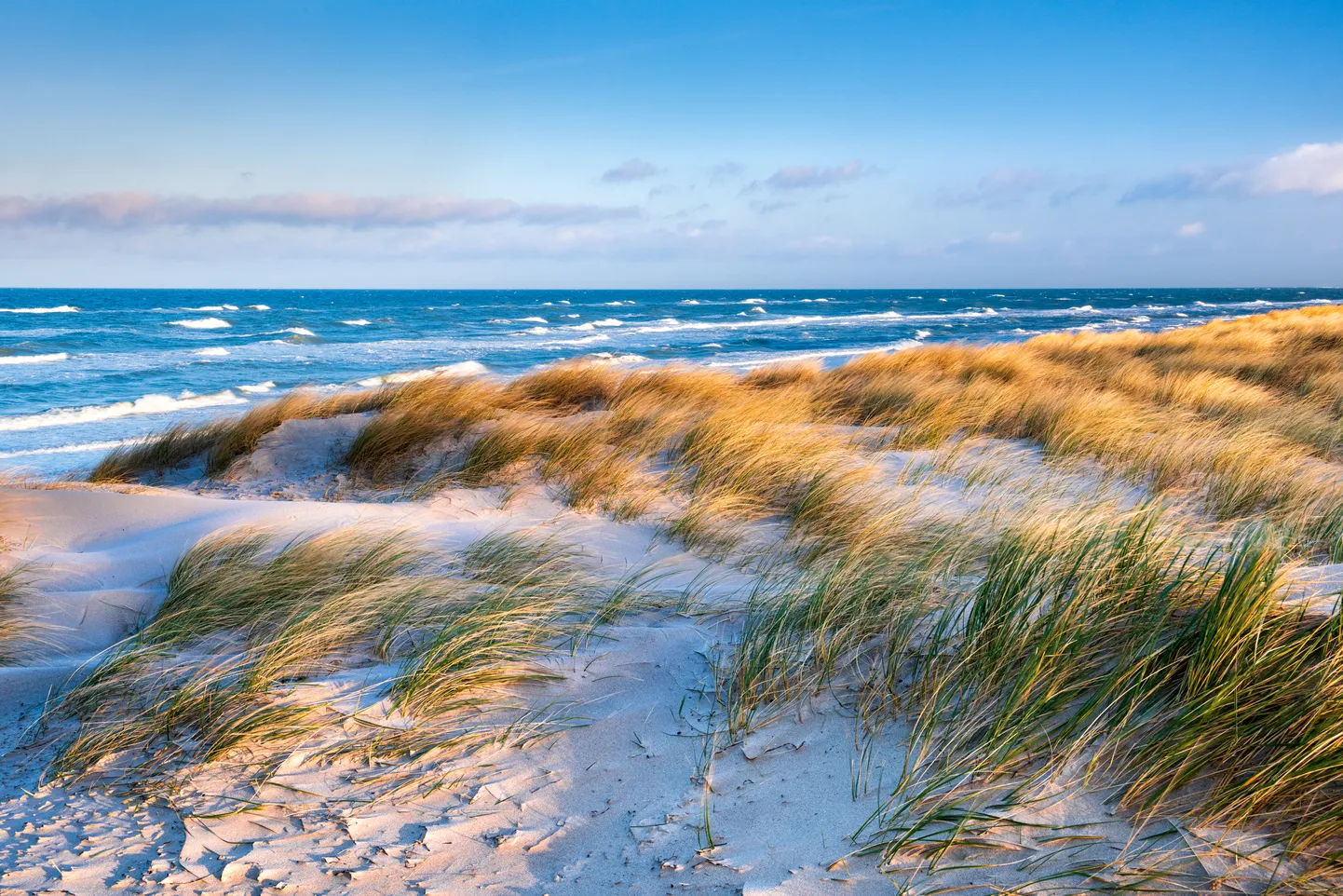 Baltijas jūras pludmale vējainā dienā