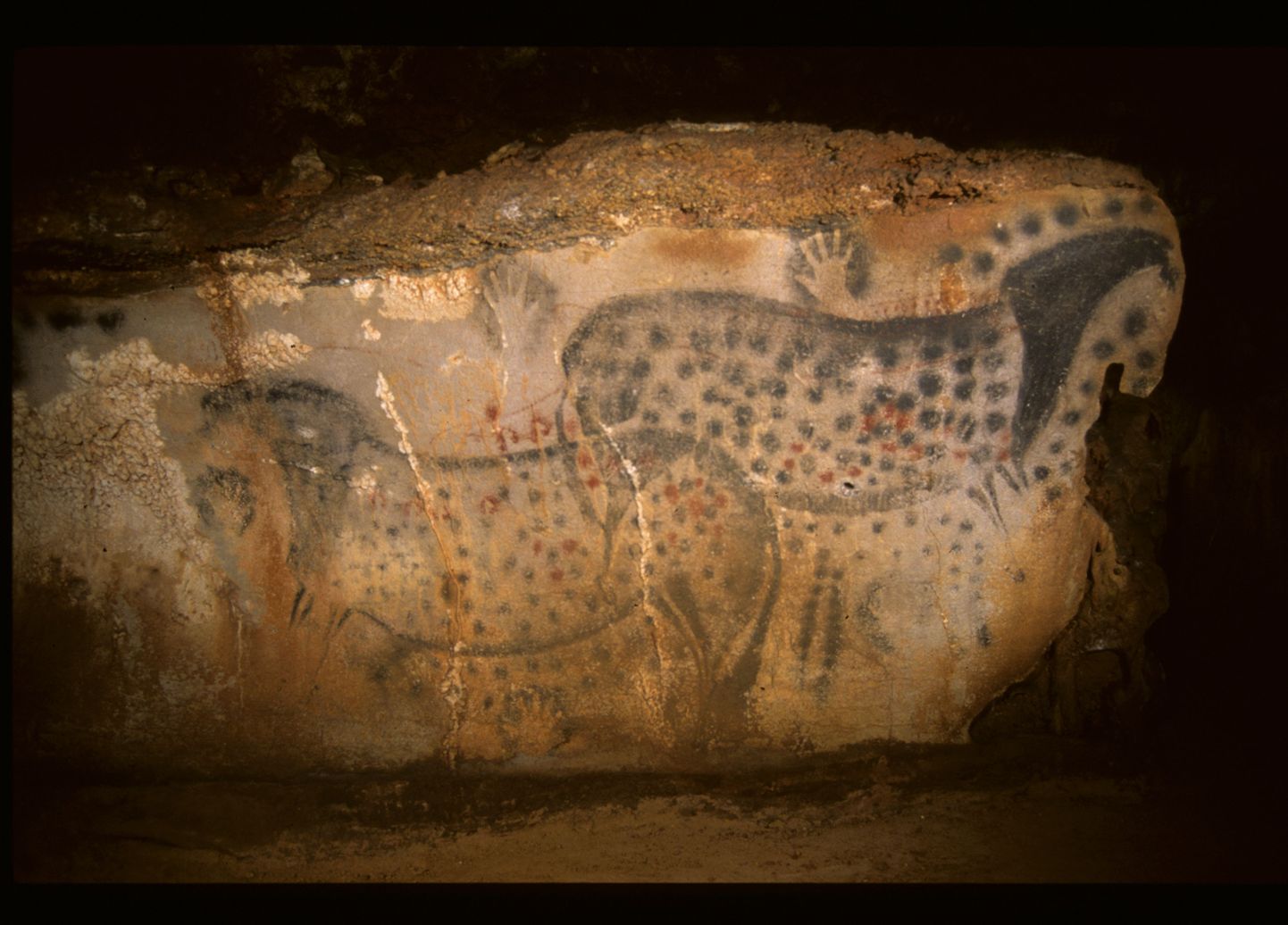 Pech Merle`i koopas kujutatud tähnilised hobused