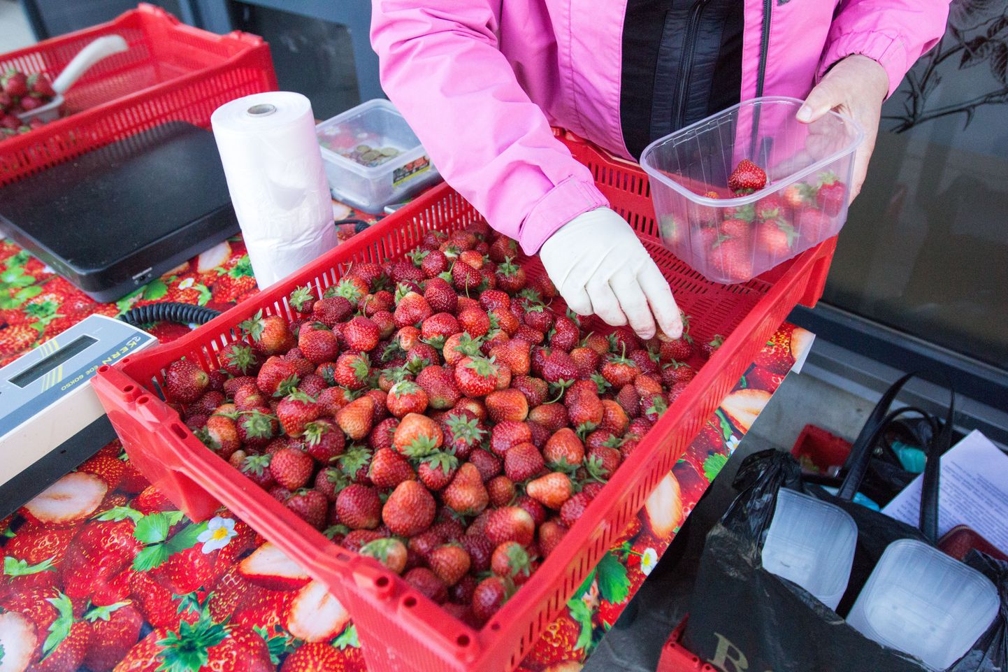 Maasikate müük on alanud. Foto on illustratiivne