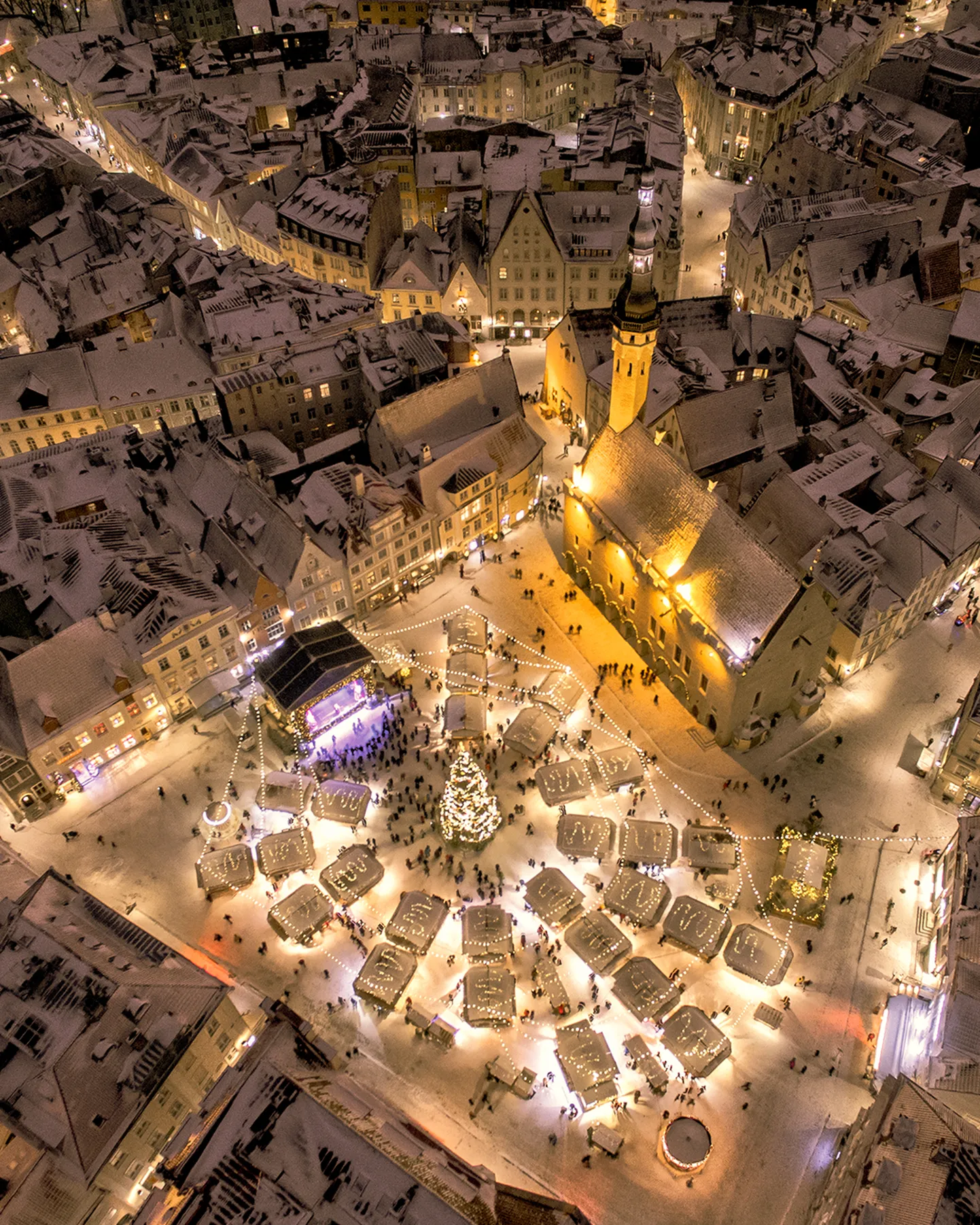 Artikli foto