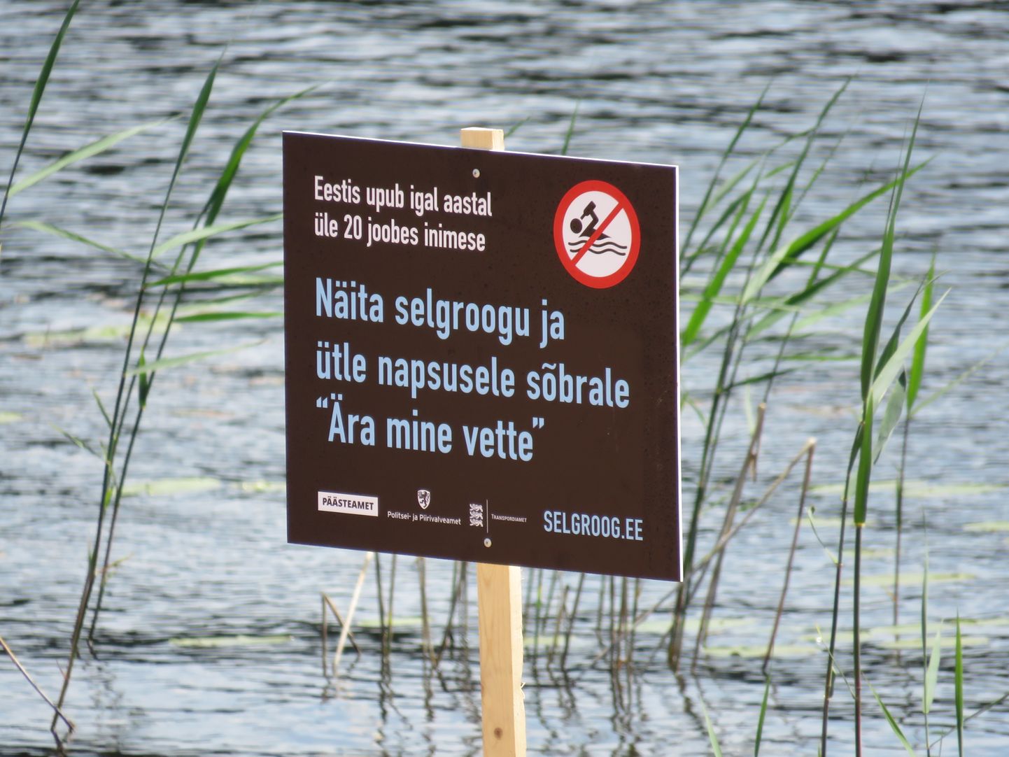 Infotahvel Kääriku järve kaldal.
