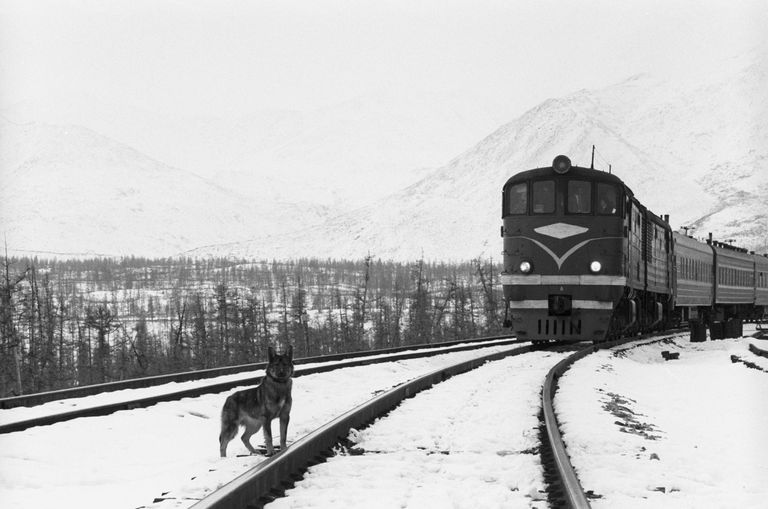 Raudtee Siberis. Foto: Scanpix