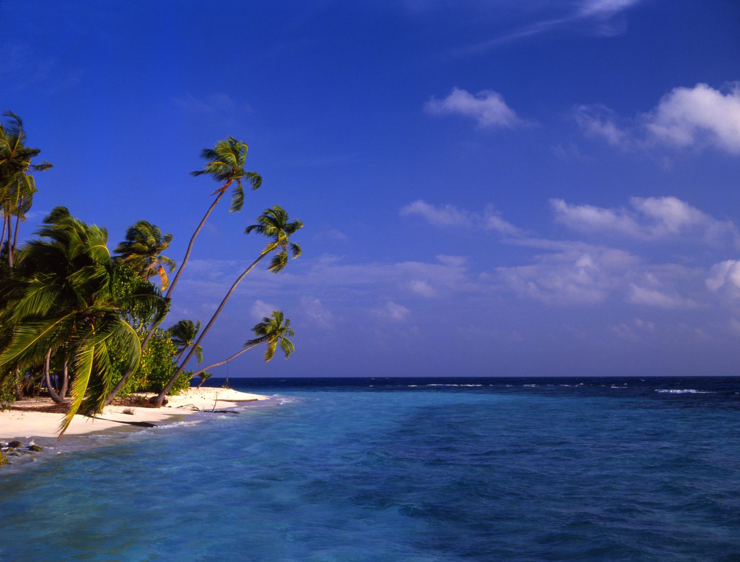Üks Maldiivide paradiisirandu.