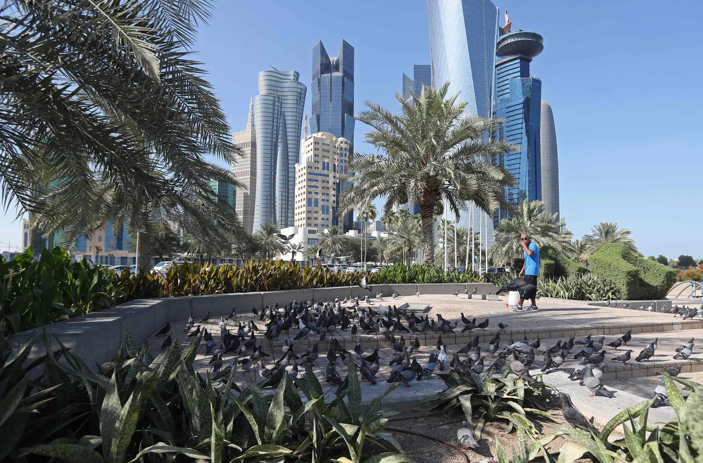 Катар. Иллюстративное фото.
