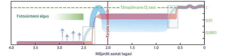 Hapniku kontsentratsioon atmosfääris läbi Maa arengu.