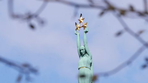 Ukraiņu kopiena ar Latvijas himnu pie Brīvības pieminekļa vēlas iedibināt Pateicības dienu